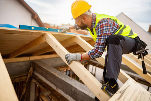 Best Roof Inspection Near Me  in Bronte, TX